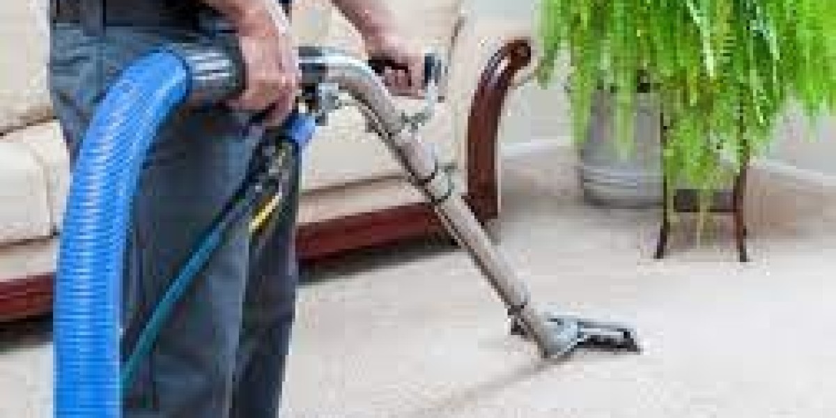 Professional Carpet Cleaning: The Key to a Refined Home Aesthetic